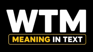 WTM Meaning in Text