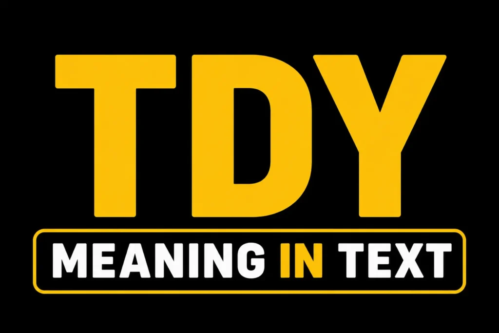 TDY Meaning in Text
