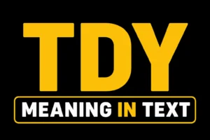 TDY Meaning in Text