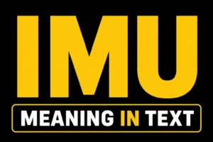 IMU Meaning in Text
