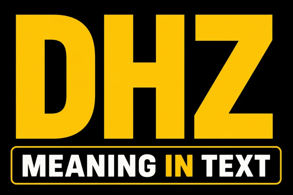 DHZ Meaning in Text