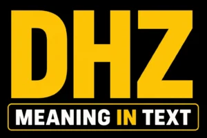 DHZ Meaning in Text