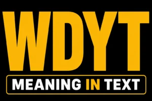 WDYT Meaning in Text