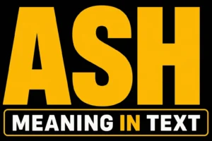 Ash Meaning in Text