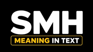 SMH Meaning in Text