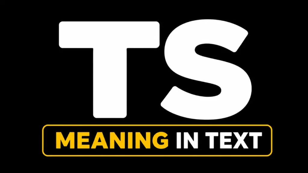 TS Meaning in Text