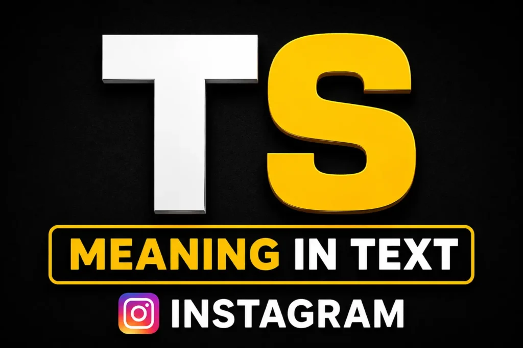 TS Meaning in Text Instagram