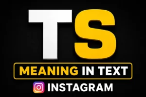 TS Meaning in Text Instagram