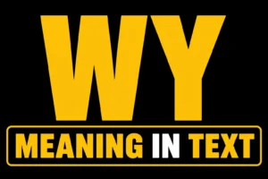 WY Meaning in Text