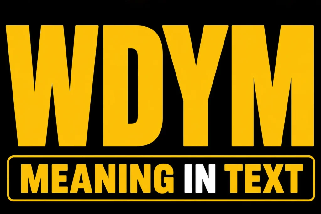 WDYM Meaning in Text