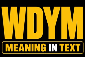 WDYM Meaning in Text