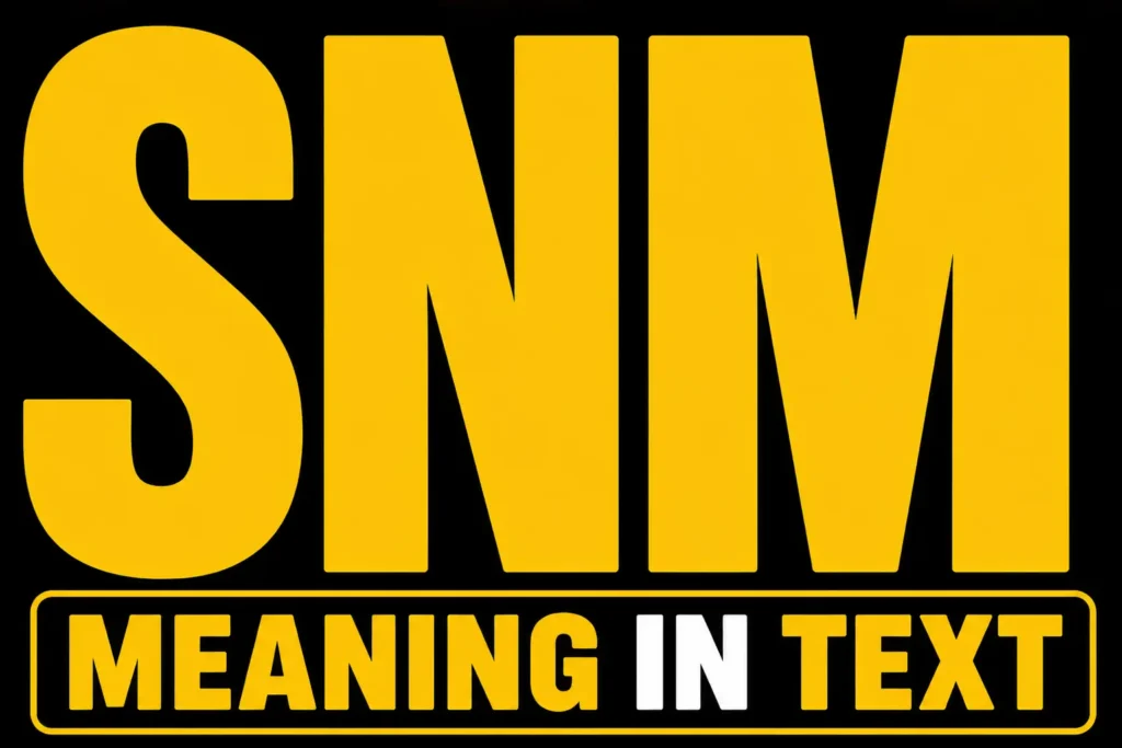 SNM Meaning in Text
