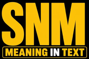 SNM Meaning in Text