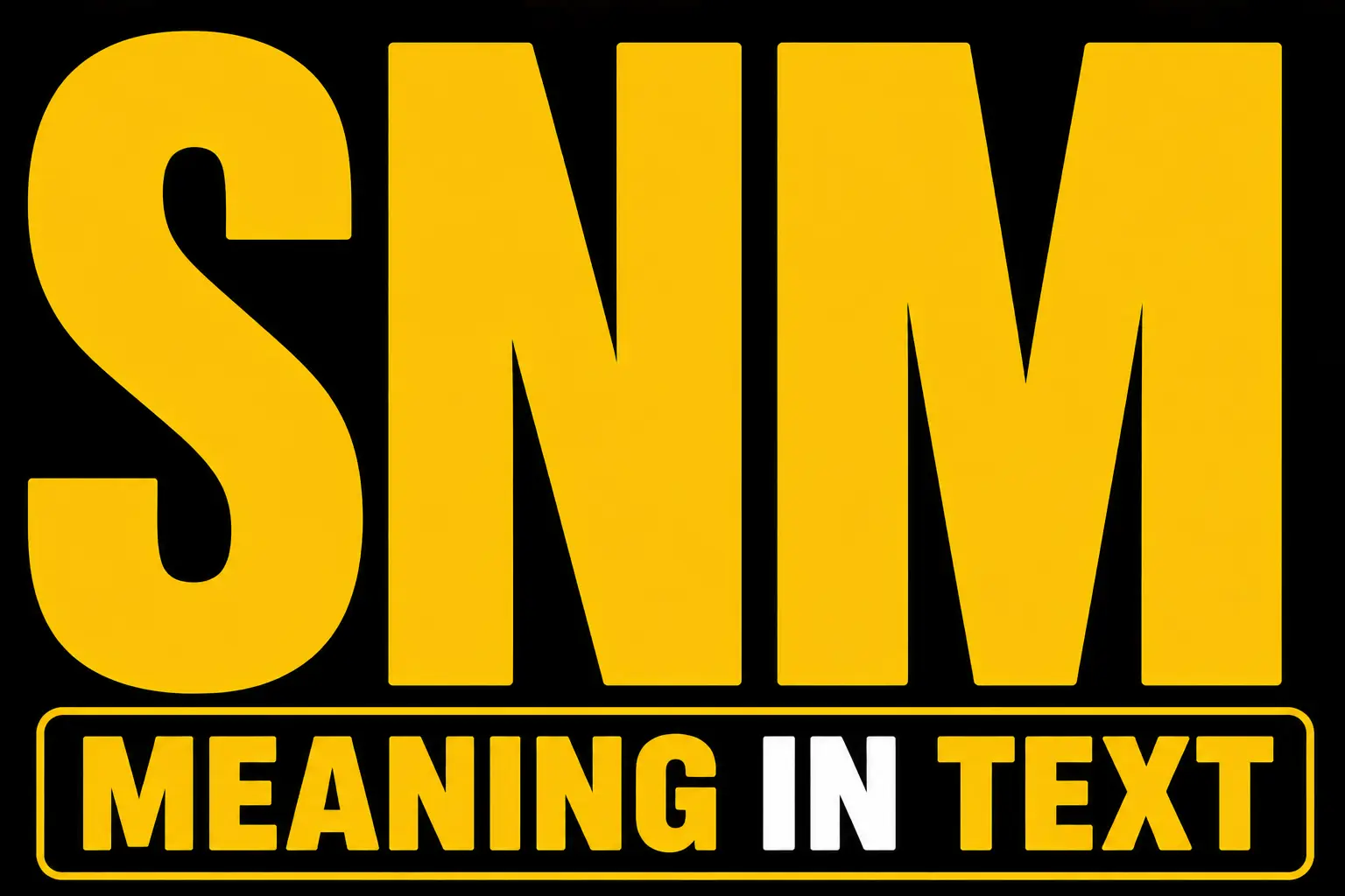 SNM Meaning in Text
