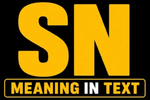 SN Meaning In Text