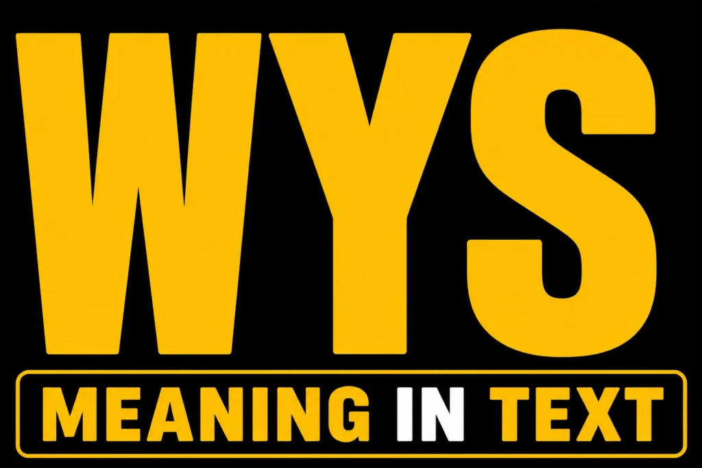WYS Meaning in Text