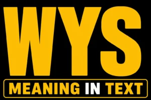 WYS Meaning in Text