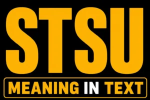 STSU Meaning in Text