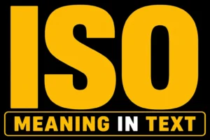 ISO Meaning in Text