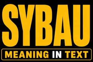SYBAU Meaning in Text