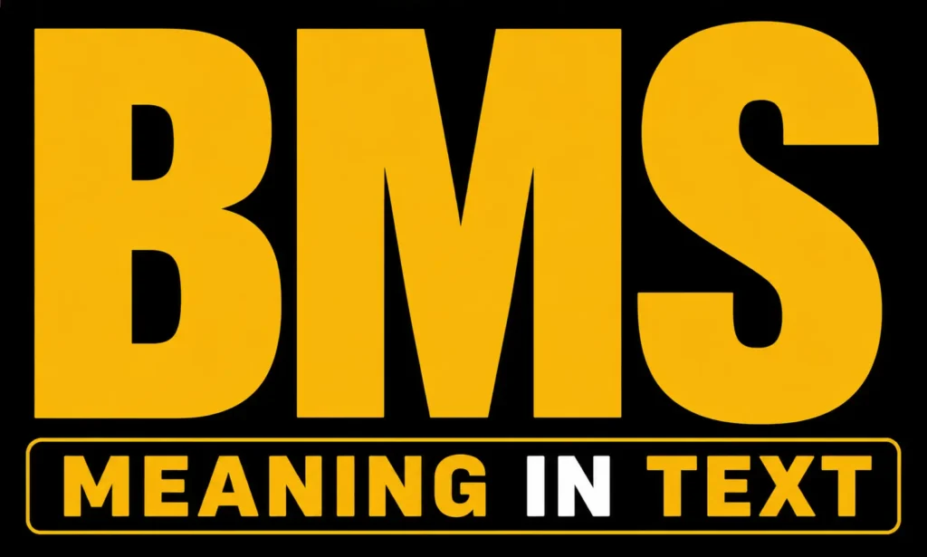 BMS Meaning in Text