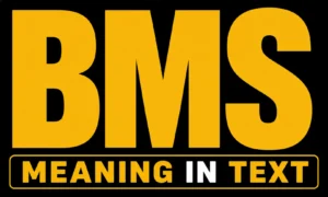 BMS Meaning in Text