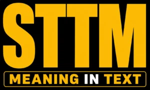 STTM Meaning in Text