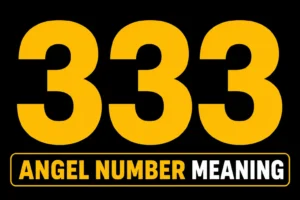 333 Angel Number Meaning
