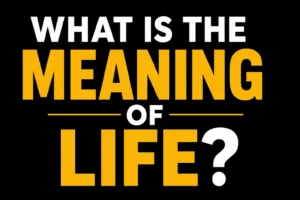 What Is the Meaning of Life