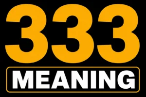 333 Meaning