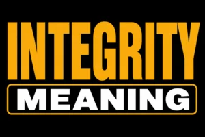 Integrity Meaning