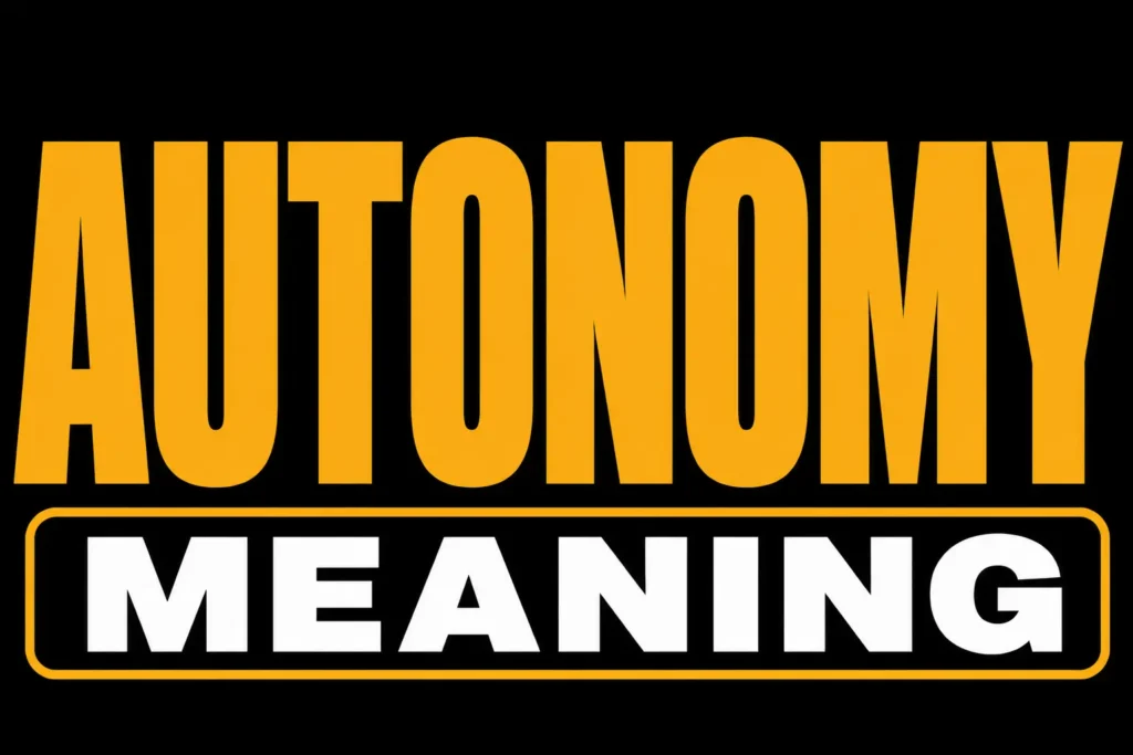 Autonomy Meaning