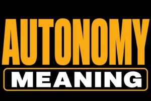 Autonomy Meaning
