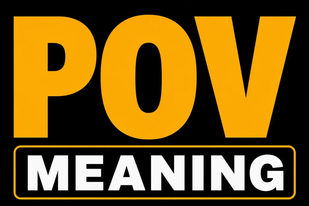 POV Meaning