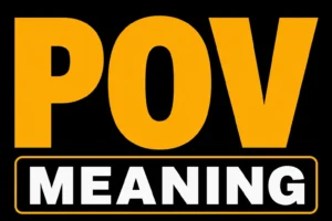 POV Meaning