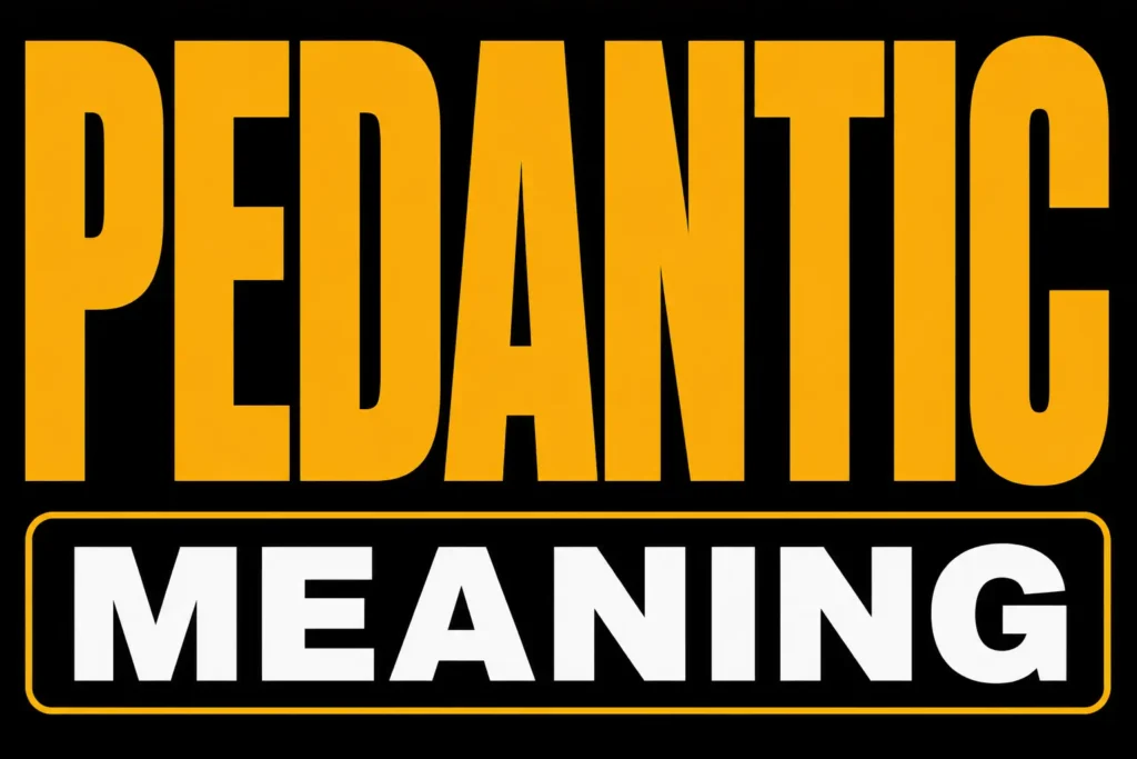 Pedantic Meaning