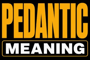 Pedantic Meaning