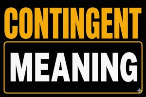 Contingent Meaning