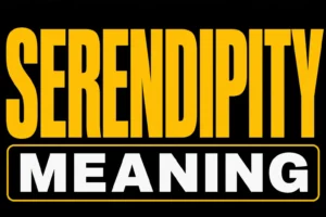Serendipity Meaning