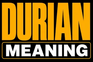 Durian Meaning