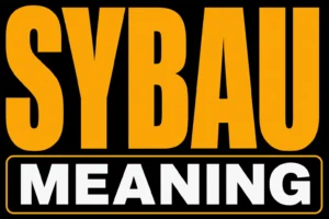 SYBAU Meaning