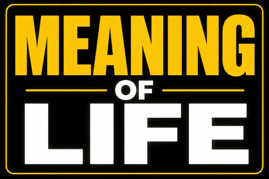 Meaning of Life
