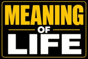 Meaning of Life