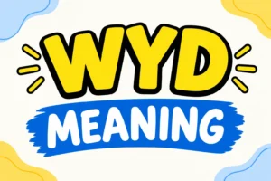 WYD Meaning