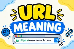 URL Meaning
