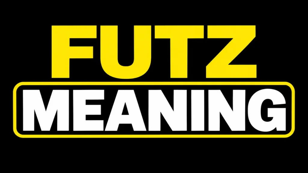 Futz Meaning