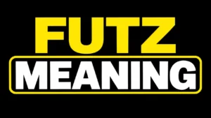 Futz Meaning