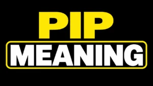 PIP Meaning