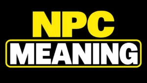 NPC Meaning