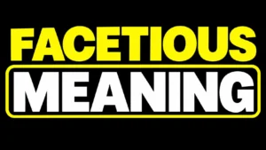 Facetious Meaning